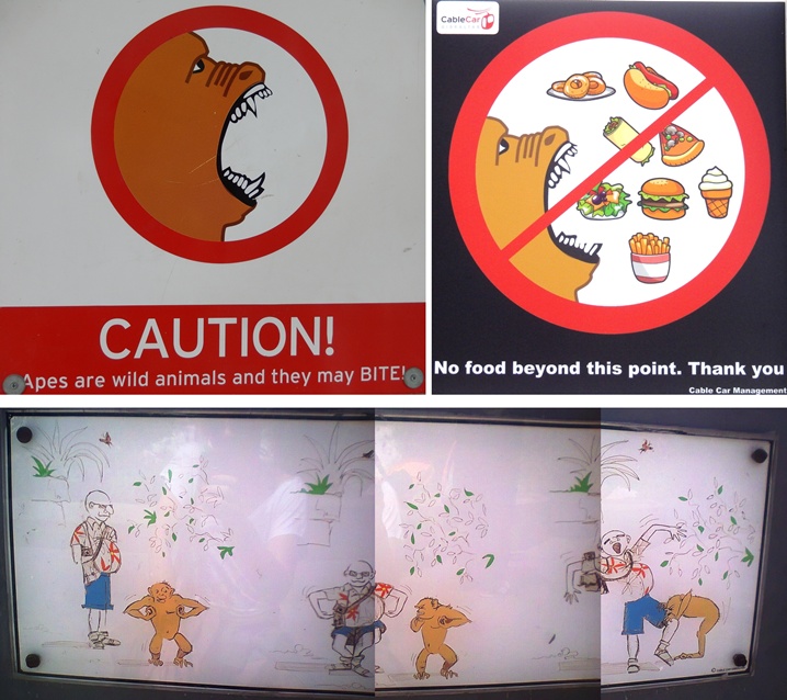 gibraltar 1 urlop na etacie