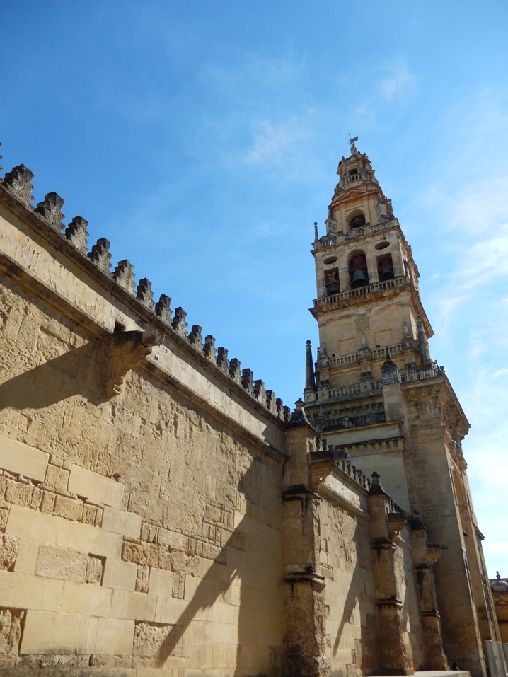 kordoba 16 urlop na etacie