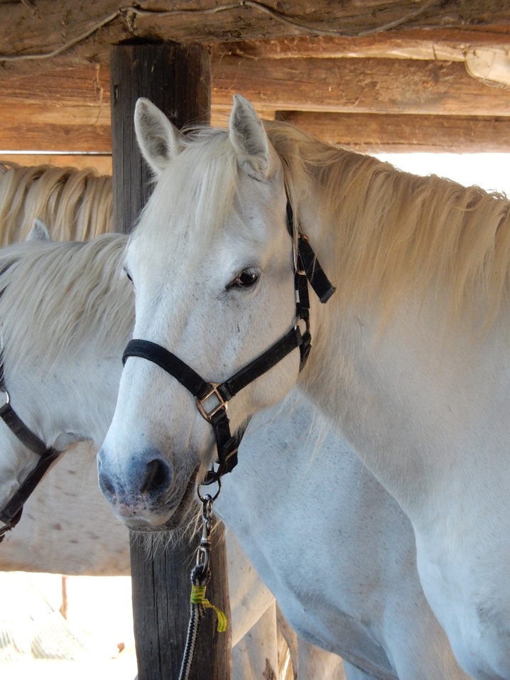 marie 14 urlop na etacie