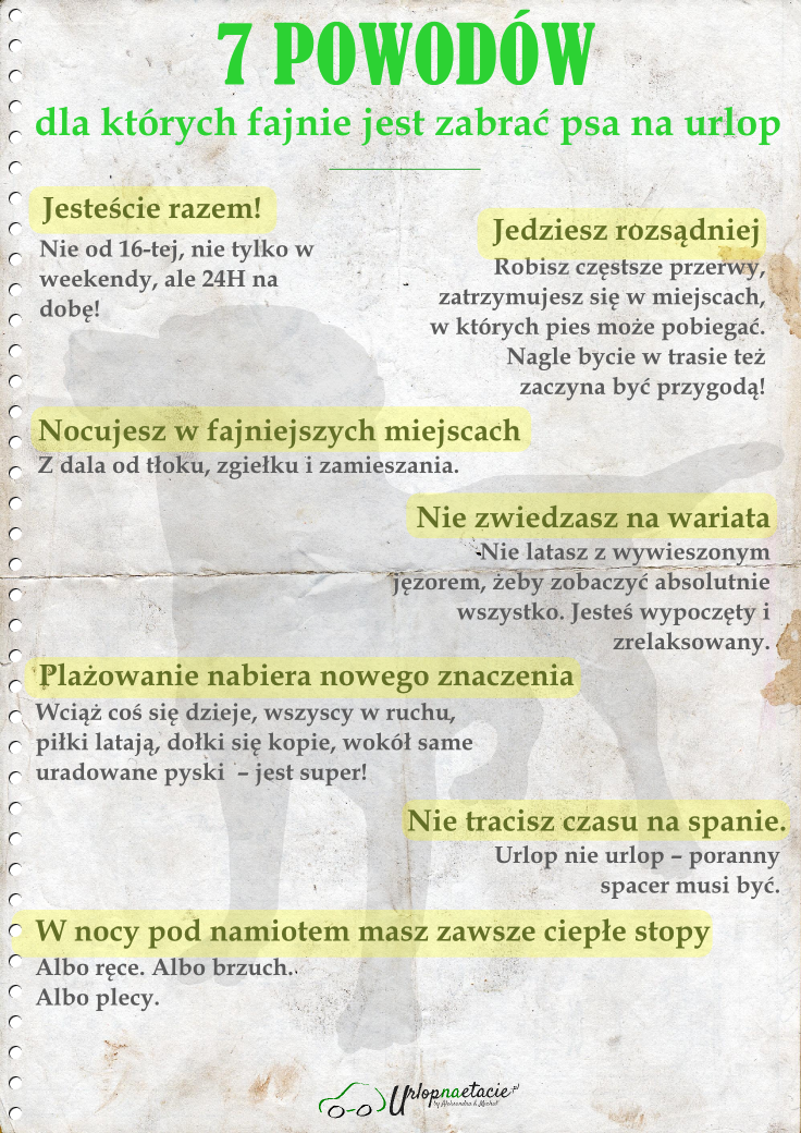 Dlaczego zabrać psa na urlop?