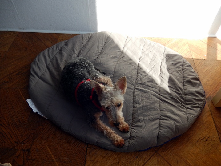 Podróżne łóżko Luśki