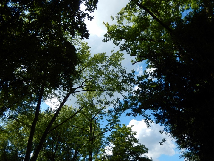 Volkspark Friedrichshain