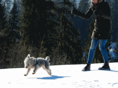 Bukowina Tatrzańska