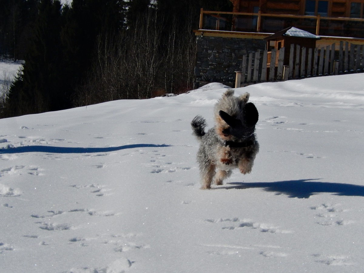 Bukowina Tatrzańska