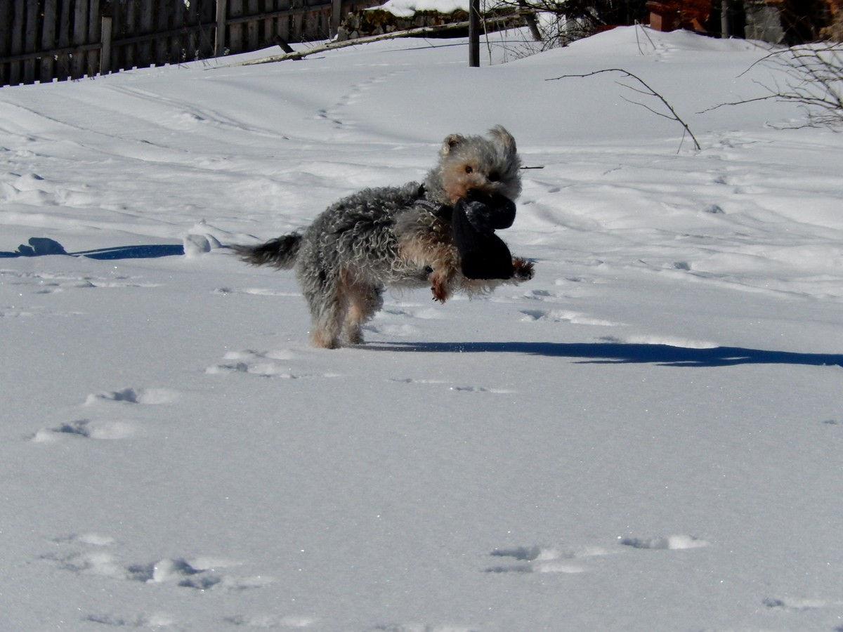 Bukowina Tatrzańska