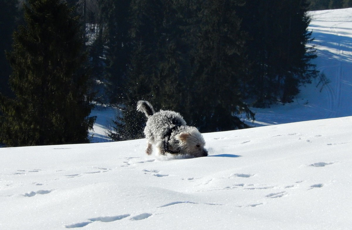 Bukowina Tatrzańska