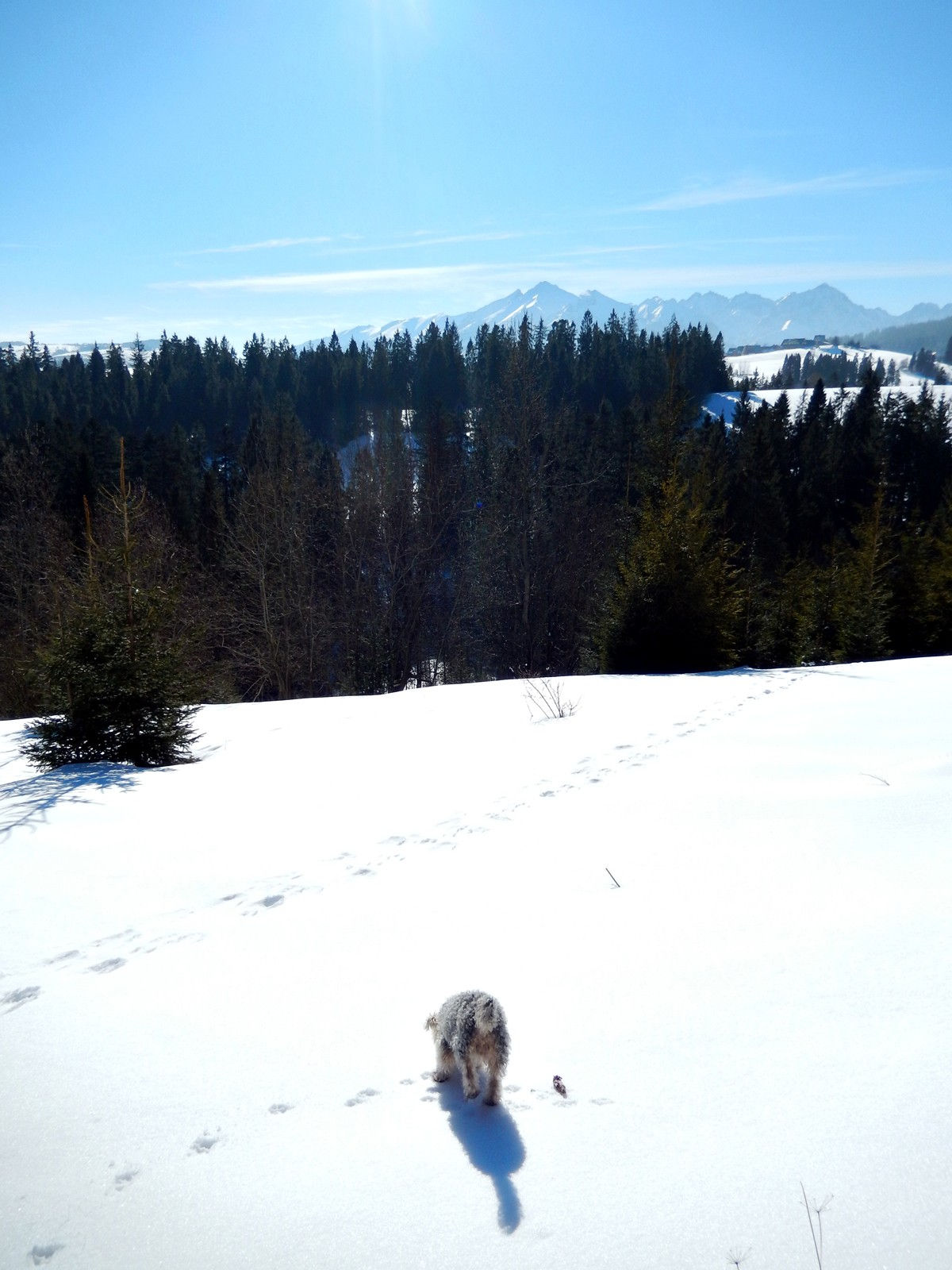 Bukowina Tatrzańska
