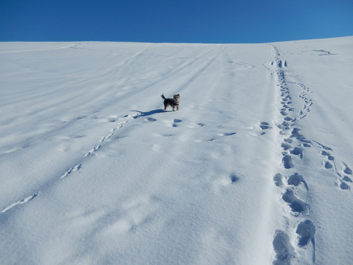 Bukowina Tatrzańska