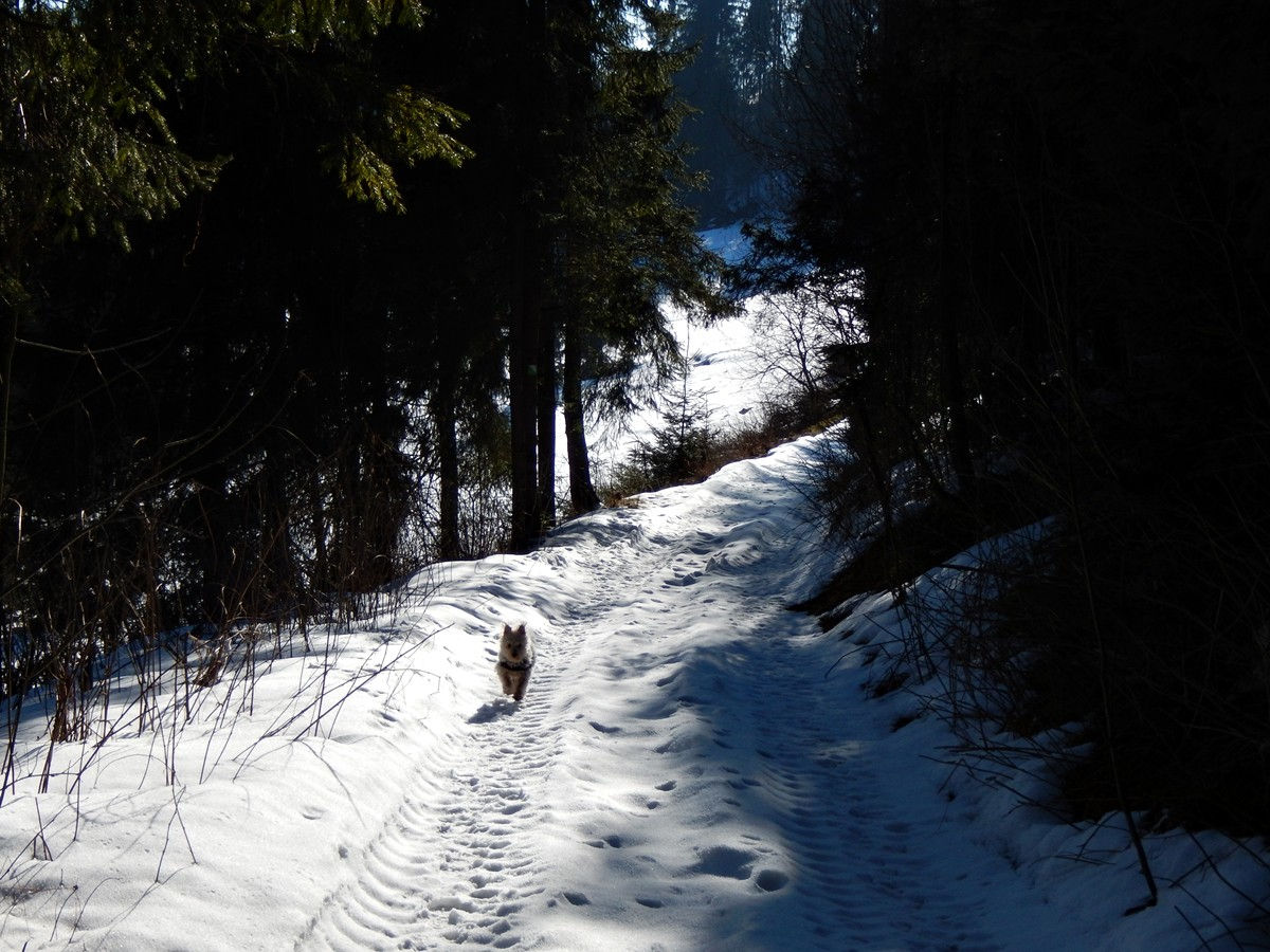 Bukowina Tatrzańska