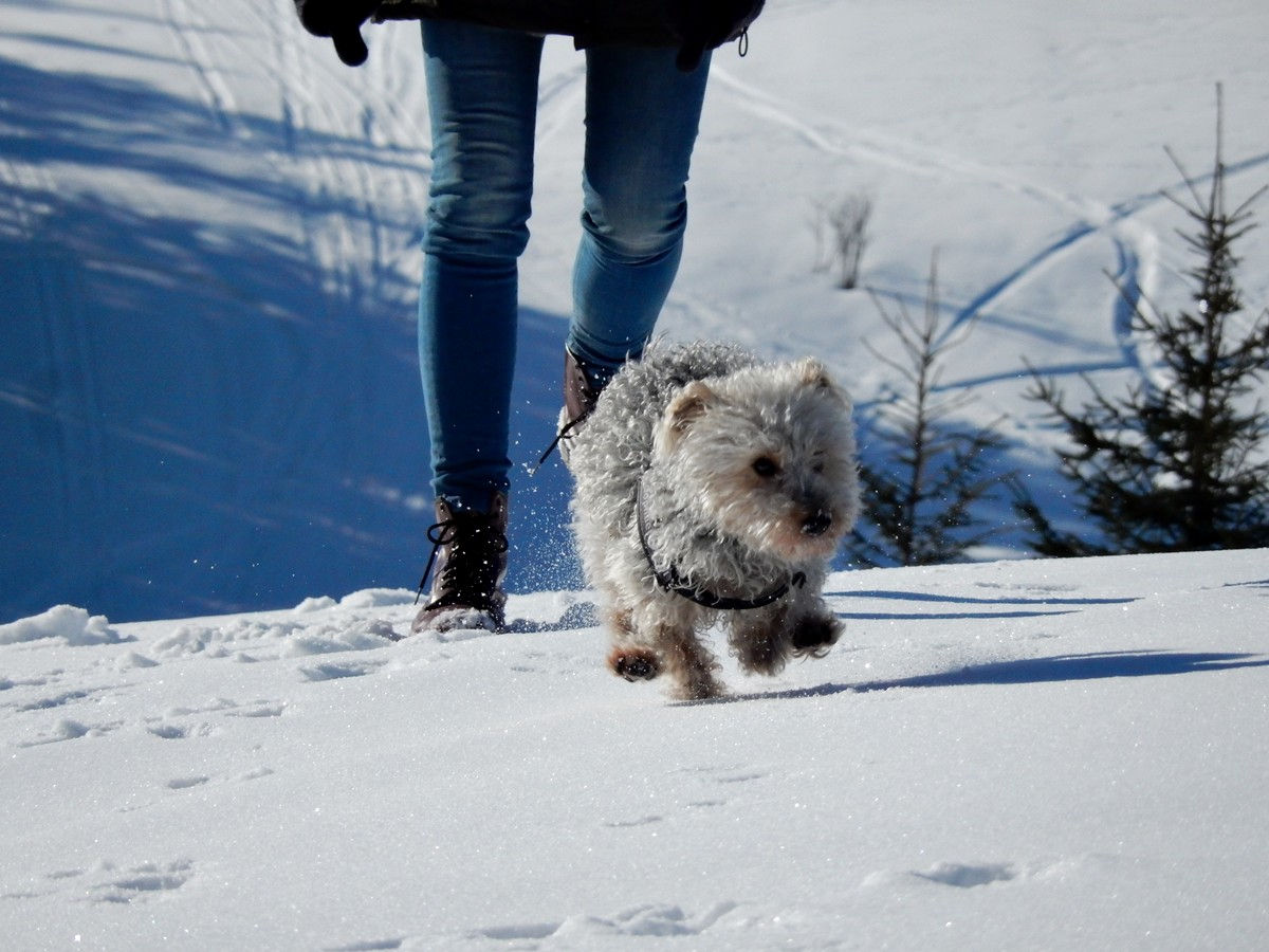 Bukowina Tatrzańska