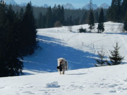 Bukowina Tatrzańska