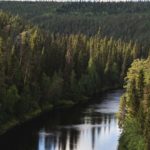 Park Narodowy Oulanka, Finlandia