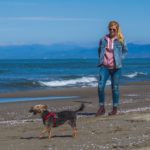 Viareggio plaża z psem
